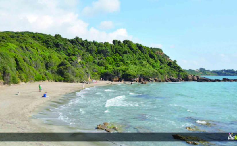 Skafidia in Pyrgos Municipality